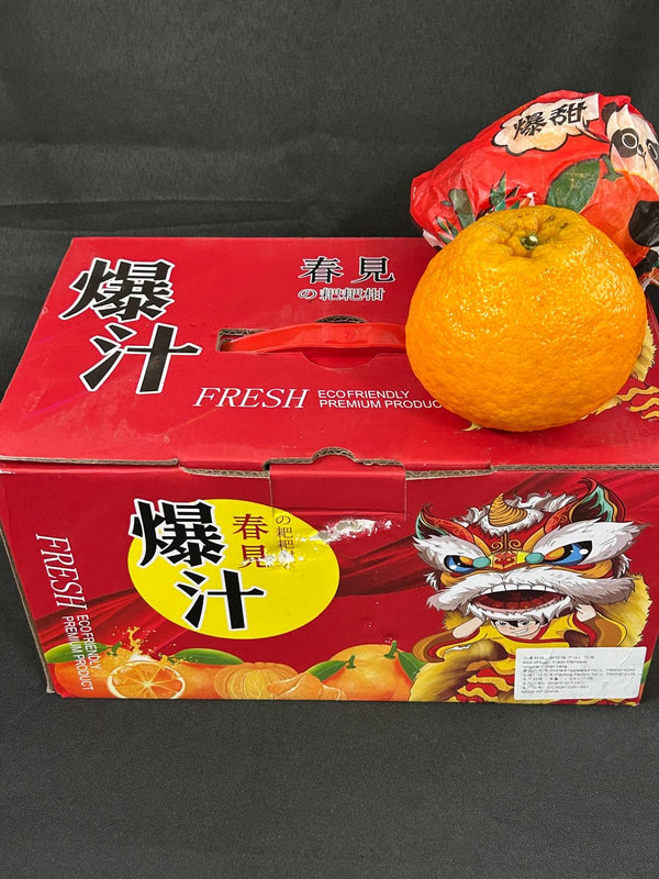 CNY Oranges - Lion Dance Chunjian Mandarin Oranges Gift Box 爆汁春见耙耙柑