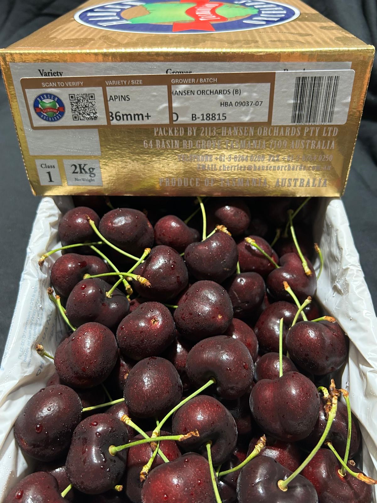 Tasmania Hansen Orchards Red Cherries 36+mm | YOLOFRUITS
