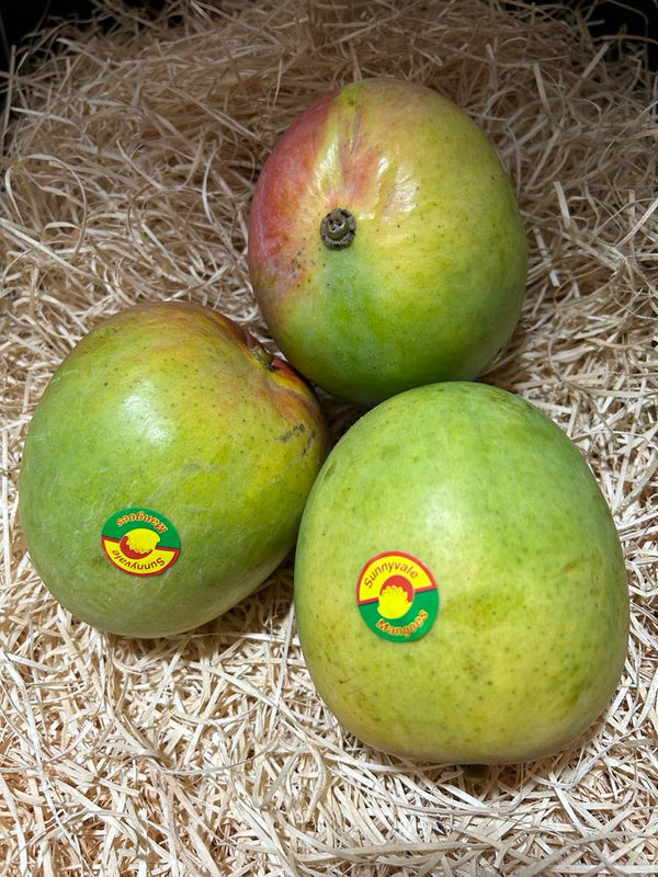 Australia R2E2 Mango xLarge (per piece)l