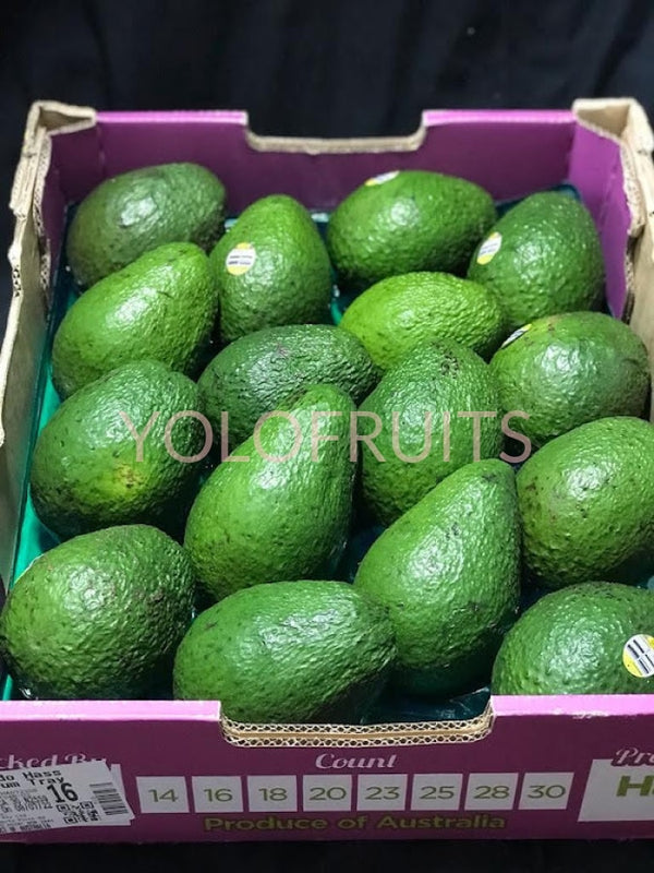 Australia Avocados Jumbo Haas (Set Of 2) Fresh Fruits & Vegetables
