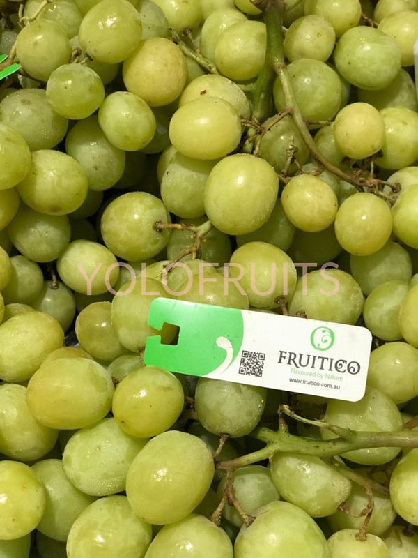 Australia Premium Green Seedless Grapes - Fruitico Autumncrisp (~700G)