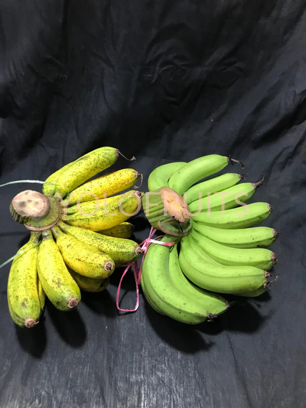 Bananas - Pisang Mas Raja Rastali Etc Fresh Fruits & Vegetables