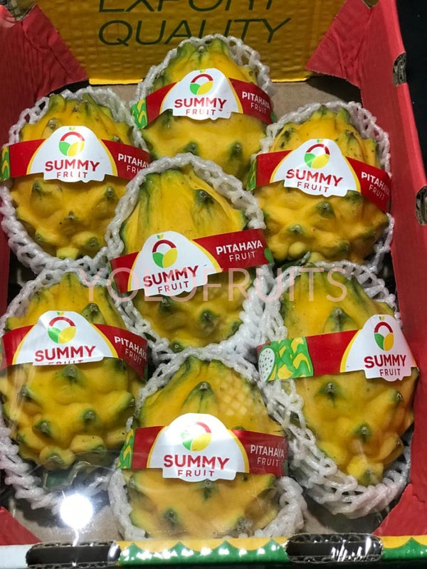 Ecuador Yellow Dragon Fruits / Pitahaya Per Piece Fresh & Vegetables