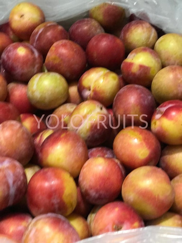 Australia October Sun Plums Fresh Fruits & Vegetables