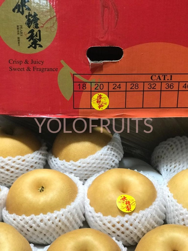 China Asian Pears / Rock Sugar Pear Large (Set Of 2) Fresh Fruits & Vegetables