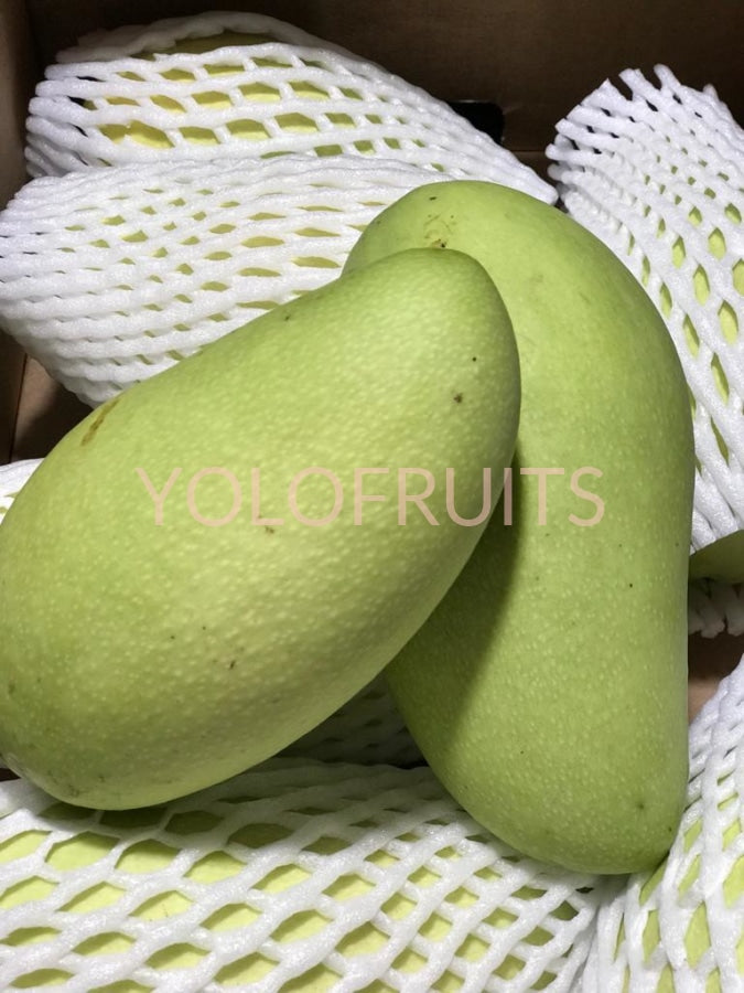Thailand Jin Huang Mango Jumbo | YOLOFRUITS