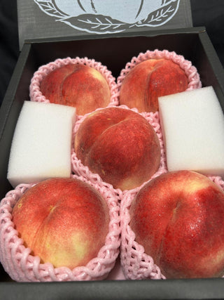 Japan Yamanashi White Peach(山形桃）