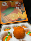 CNY24 Oranges - Aiyuan Jelly Oranges 爱媛果冻橙