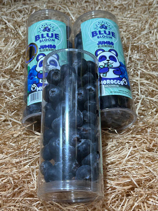 Morocco Blue Bloom Jumbo Blue Blueberries 200g