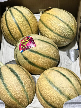 France Les Rubis de Lansac Charentais Melon