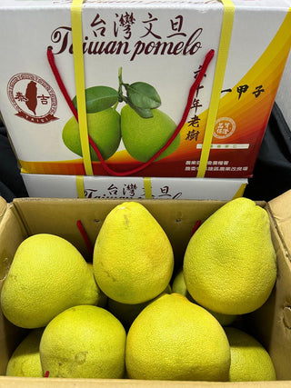 Taiwan Pomelo Wendan 麻豆文旦柚