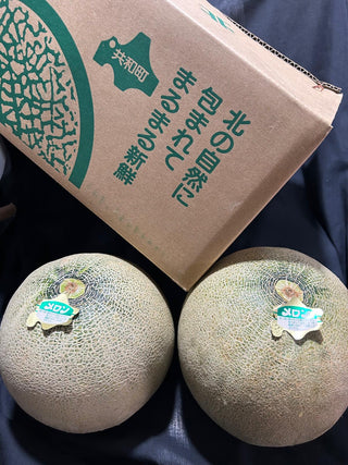 Japan Hokkaido Sweet Melon Jumbo (Per piece)