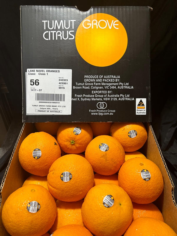 Australia Navel Oranges Jumbo (Set of 5)