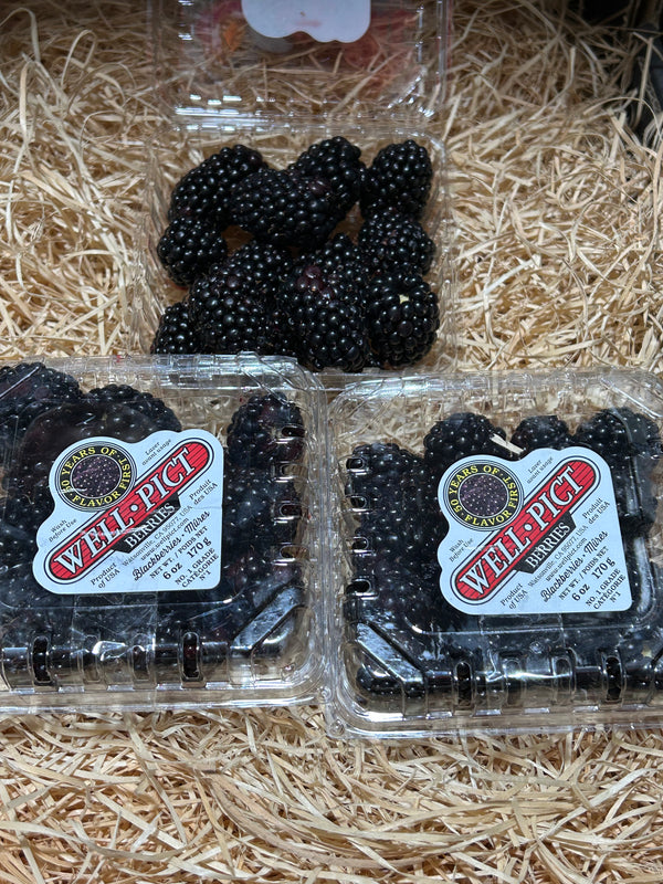 USA Driscoll Blackberries (per punnet 125g)