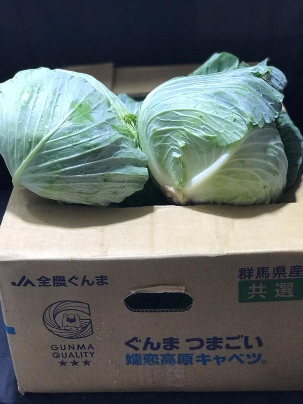 Japan Gunma Tsumagoi Cabbage