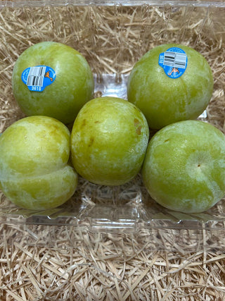 USA Interspecific Plums 3610, Turtle Egg (Set of 3)
