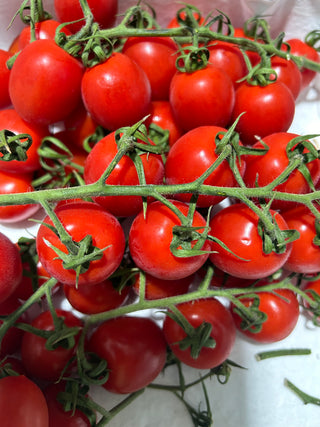 Morocco Cherry Tomatoes-on-vine 500g