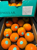 Spain Kakis / Persimmons X-Large (Set of 3)