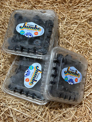 Peru CaDime Jumbo Blueberries 125g(Set of 2)