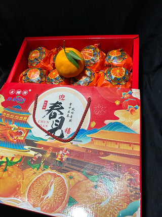 CNY24 Oranges - Lion Dance Chunjian Mandarin Oranges 爆汁春见耙耙柑