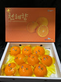 CNY23 Oranges - Korea Jeju Premium Oranges Gift Box 3kg - CheonHyehYang 清香蜜柑