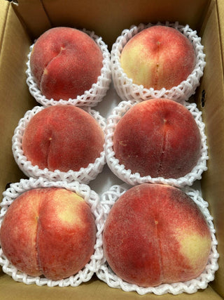 Japan Yamanashi Momo Peaches (Per Box)