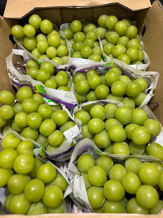 Japan Shine Muscat Grapes (per bunch ~500g - 550g)