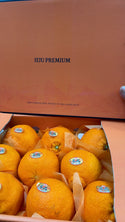 CNY26 Oranges - Korea Jeju Jesmerize Red Pearl Oranges Gift Box 3kg