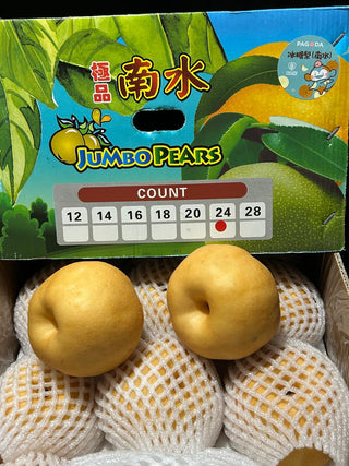 China Nam Shui Pears XLarge (Set of 3)