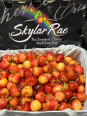 Tasmania Skylar Rae Cherries 30-32mm (~500g)