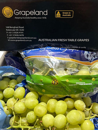Australia Green Seedless Grapes, Grapeland (~700g)