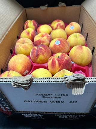 USA Prima Gattie Yellow Peaches