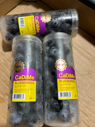 Peru CaDime Jumbo Blueberries 200g
