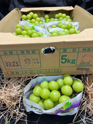 Japan Shine Muscat Grapes (per bunch ~500g - 550g)