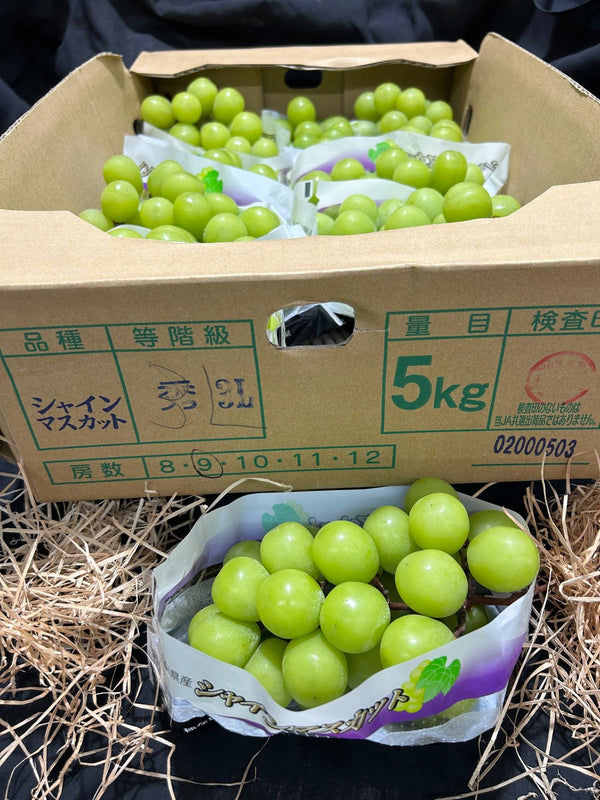 Japan Shine Muscat Grapes (per bunch ~500g - 550g)