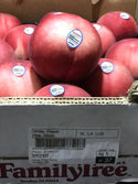 USA Family Tree White Peaches Pink Moon Super Jumbo