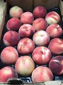 USA White Peaches Large, Snow King