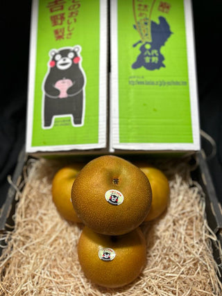 Japan Kumamoto Jumbo Akizuki Pear