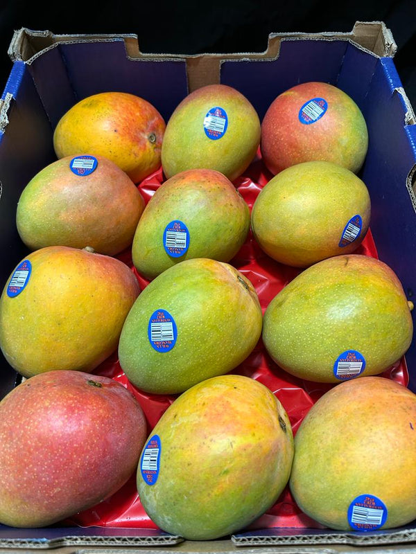 Australian Mango R2e2 Australia R2E2 Bowen Mango Jumbo xLarge (per piece) | YOLOFRUITS