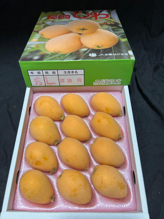 Japan Nagasaki Biwa (Loquats) Gift box (per box)