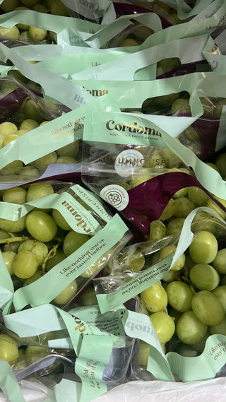 Australia Premium Green Seedless Grapes - Cordoma Sweet Globe