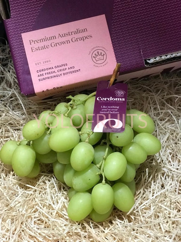 Australia Premium Green Seedless Grapes - Cordoma Sweet Globe Per Carton ~4.2-4.3Kg