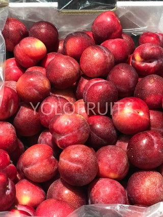 Australia Premium Sugar Plums September Candy (Set Of 8) Fresh Fruits & Vegetables