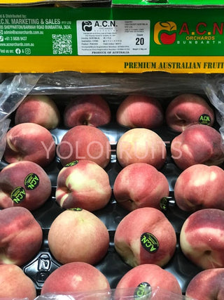 Australia White Peaches (Assorted Sizes / Carton) Large (Set Of 2)