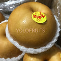 China Asian Pears / Rock Sugar Pear Xl (Set Of 2) Fresh Fruits & Vegetables