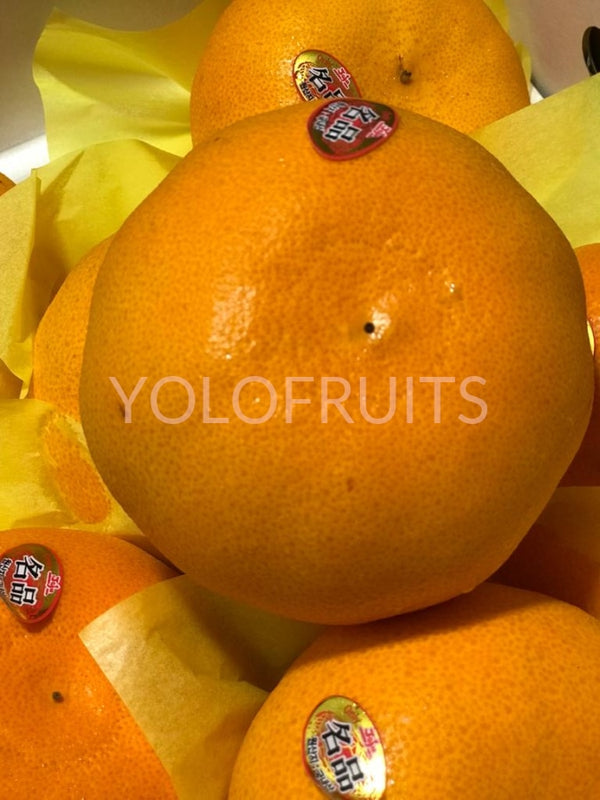 Cny23 Oranges - Korea Jeju Premium Gift Box 3Kg Cheonhyehyang