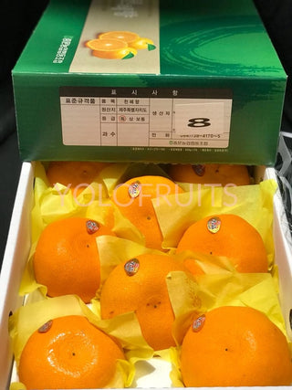 Cny23 Oranges - Korea Jeju Premium Gift Box 3Kg Cheonhyehyang