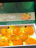 Cny23 Oranges - Korea Jeju Premium Gift Box 3Kg Cheonhyehyang