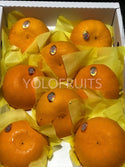 Cny23 Oranges - Korea Jeju Premium Gift Box 3Kg Cheonhyehyang