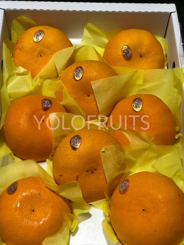 Cny23 Oranges - Korea Jeju Premium Gift Box 3Kg Cheonhyehyang